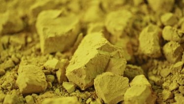 In a December report, Morgan Stanley said spot uranium would remain stuck near $US19 this year, rise to $US21 in 2018 and average $US24 by 2019.
