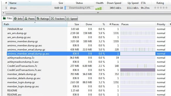 The various Ashley Madison databases enclosed in the 10GB compressed torrent file.