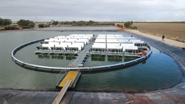 The $12 million bank of floating solar panels installed by Infratech Industries near Jamestown in northern South Australia.