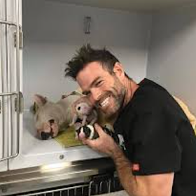 Perth vet Dr Max Hall.