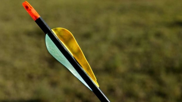 An arrow used to shoot a female kangaroo at Morisset Hospital.