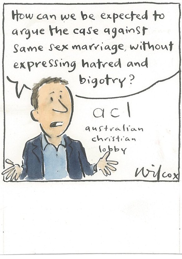 Illustration: Cathy Wilcox