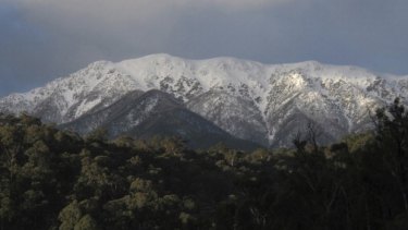 A body believed to be that of a missing 88-year-old hiker was found in the Mount Bogong area on Sunday morning. 