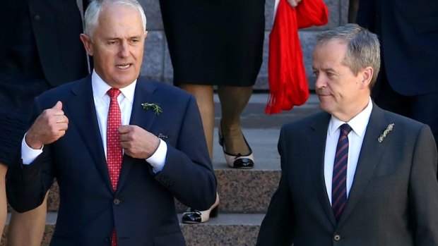 Stuff and nonsense: Prime Minister Prime Minister Malcolm Turnbull (left) and Opposition Leader Bill Shorten are yet to show their true colours.