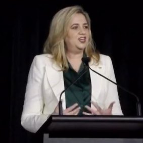 Premier Annastacia Palaszczuk addresses the Queensland Labor state conference on Saturday.