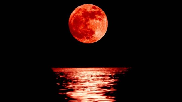 Full red moon with reflection closeup showing the details of the lunar surface. 