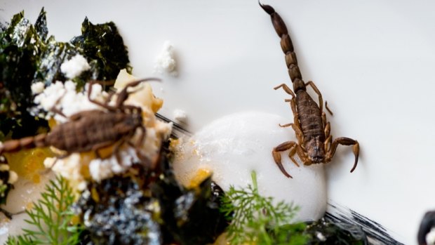 Public Bar and Restaurant in Brisbane's CBD used to serve a dish of wood-roasted scorpions with lobster snow, seaweed, pickled ginger foam and scampi. 