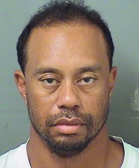 Tiger Woods' mugshot, taken on the morning of his arrest.