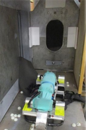 Robots have been used to enter small spaces in Sydney Harbour Bridge as part of its bridge inspection and maintenance