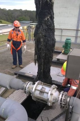 A lump of wet wipes being removed from the Shellharbour sewage pumping station.