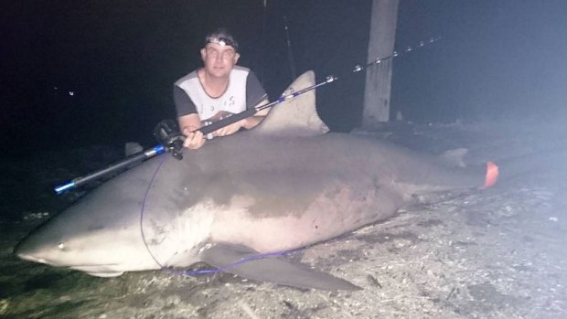 Denis Rivers hauled in this 250kg bull shark in the Hastings River with the help of a friend. 