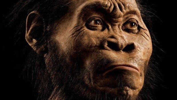 Homo naledi, an early human  species found in South Africa.