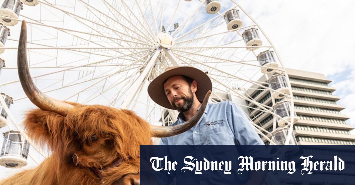 Ekka 2025: Everything you need to know