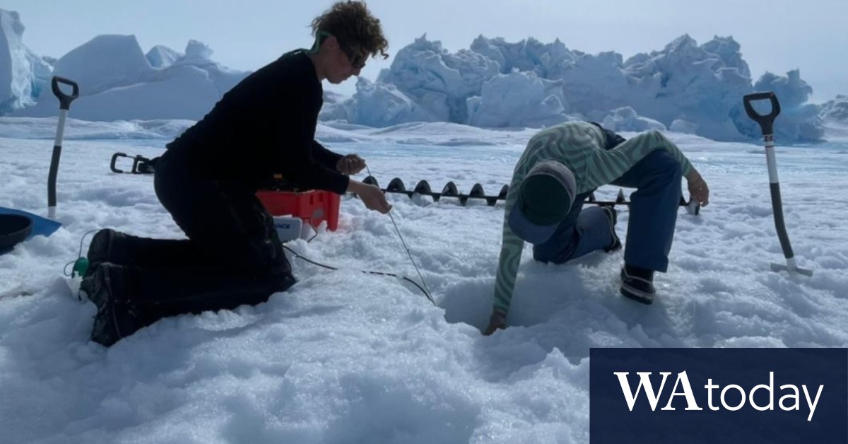 Australian scientists study Denman Glacier melt