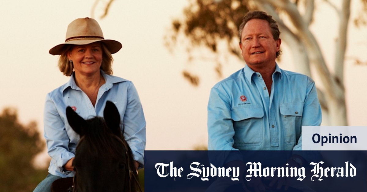 Andrew Forrest: Will Fortescue chairman retain control of wife's shares after split? - Vimarsana News