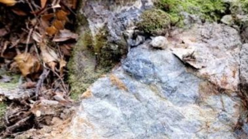 Siren reveals wider gold system at flagship NZ project