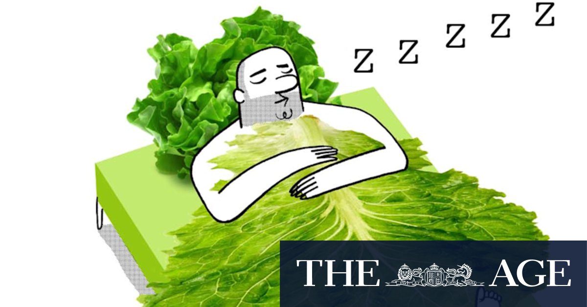 The Empty Plate: furniture items designed to look like food - Vimarsana News