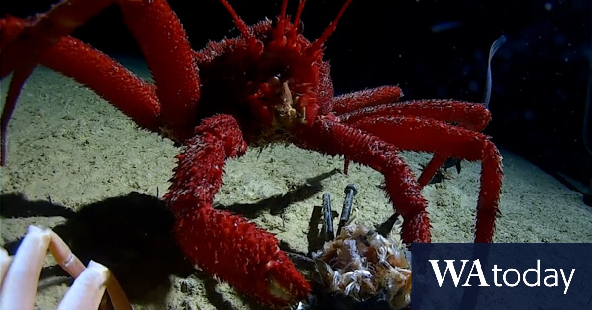 Australian project to unlock secrets of ocean's deepest trenches - Vimarsana News