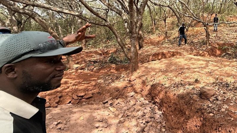 Scout sampling leads Dalaroo to high-grade gold in West Africa