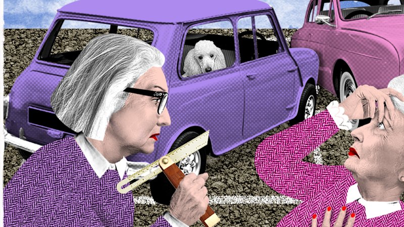 ‘Hope the dog dies, Louise!’ Why do we lose our minds over parking?