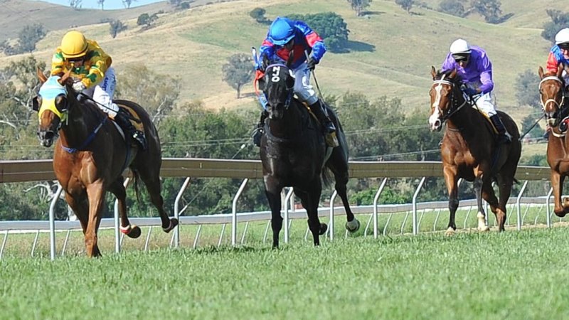 Race-by-race preview and tips for Gundagai on Sunday