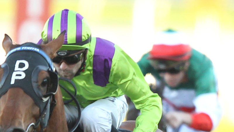 Race-by-race tips and previews for Tuesday’s race meeting at Tamworth