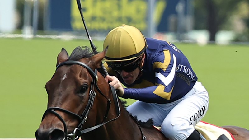 Tips and previews for racing at Rosehill on Saturday
