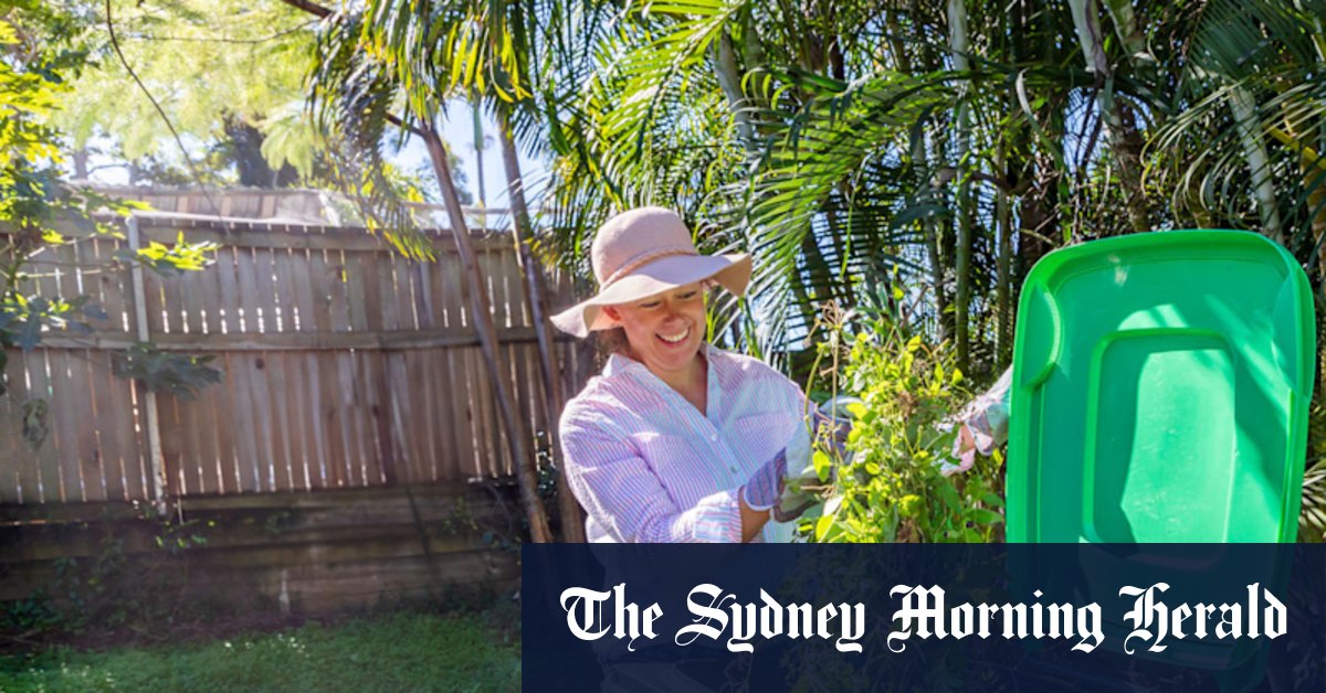 When green bins will roll out in your suburb