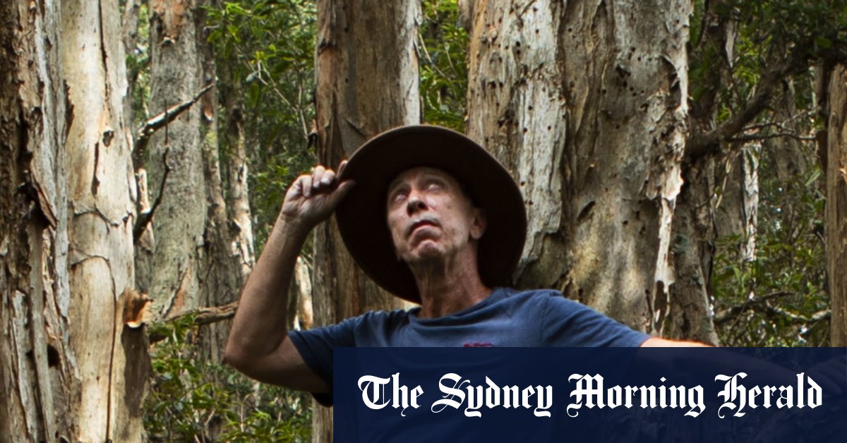 NSW conservation agreement allows landowners to convert land to national parks - Vimarsana News