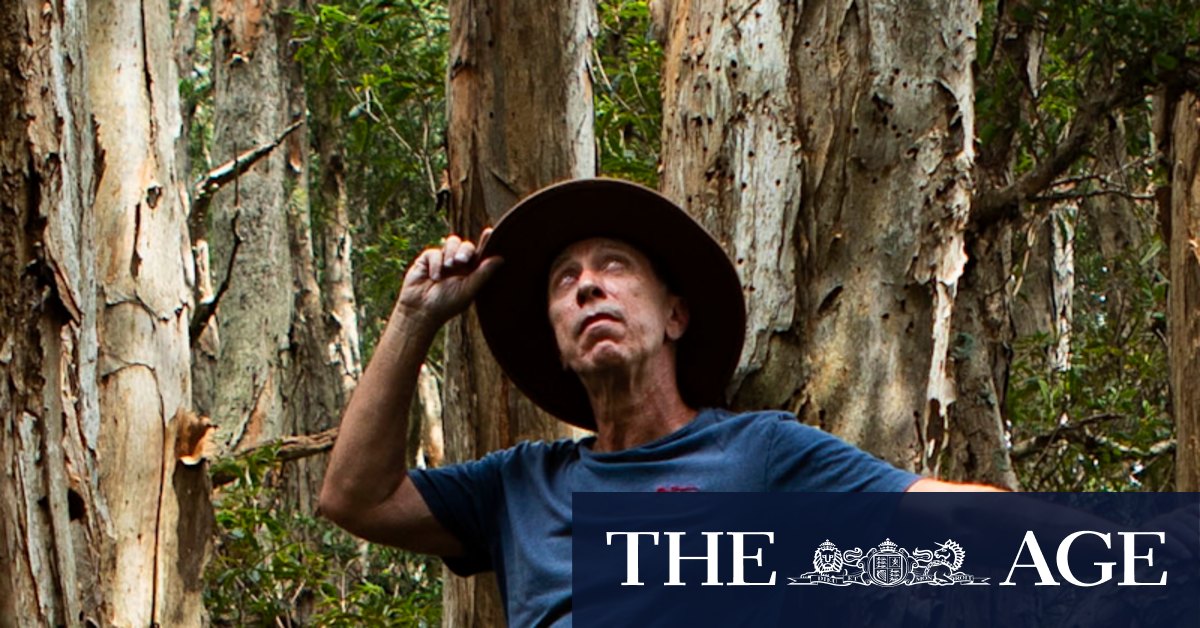 NSW conservation agreement allows landowners to convert land to national parks - Vimarsana News