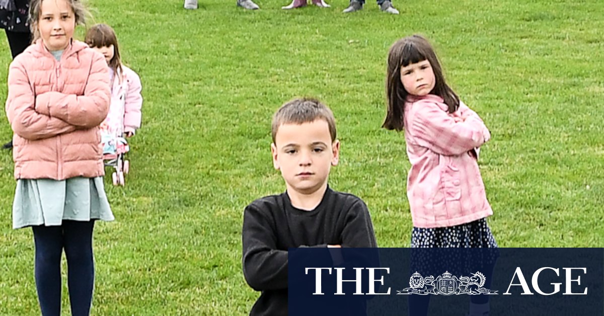 'We're running out of space': Turf wars heat up over synthetic grass - Vimarsana News