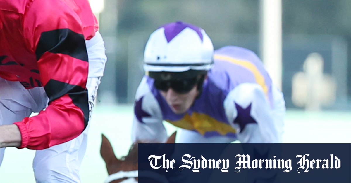 Grafton Cup the ideal chance for Bear On The Loose to end winless streak
