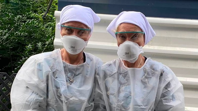Sick petrel found on Noosa beach tested for bird flu