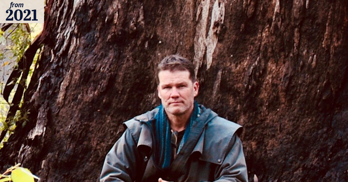 For the first time you can have your say on logging of forests in the ...