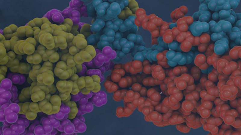 Proteomics diagnostic tests shift from lab coats to commercial launch