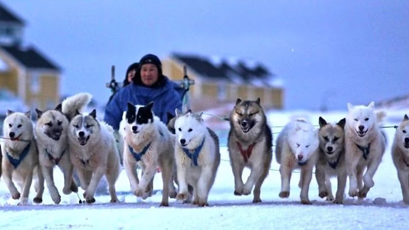 Dalaroo launches exploration blitz on epic Greenland rare earths play