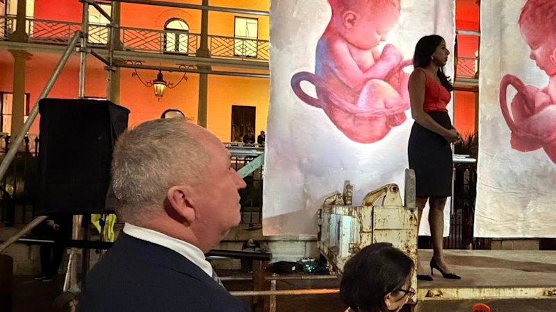 Why reawakened abortion debate won’t help the Libe