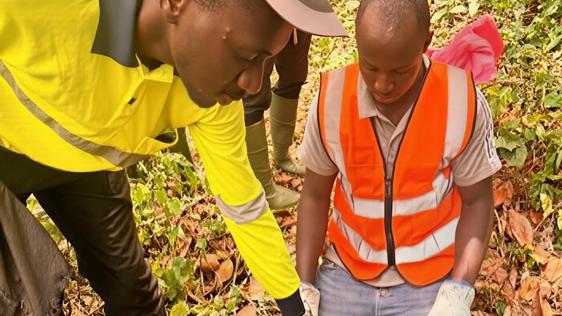 Dalaroo launches 9km-long West African gold soil sampling blitz