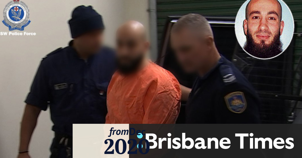 How Bassam Hamzy wields influence over Sydney's ganglands ...