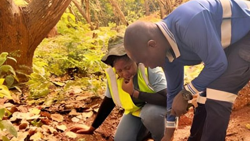 Dalaroo unveils monster 4.3km gold anomaly in West Africa