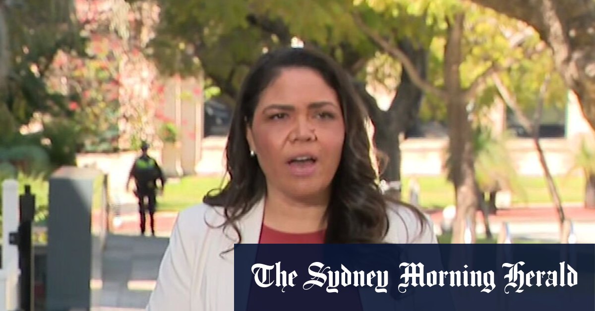Price’s attention-seeking has no place in Australia’s politics