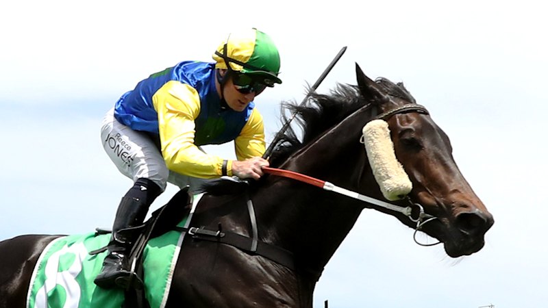 V Tamworthu se bodo pomerile vodilne konjušnice Scone za prestiž