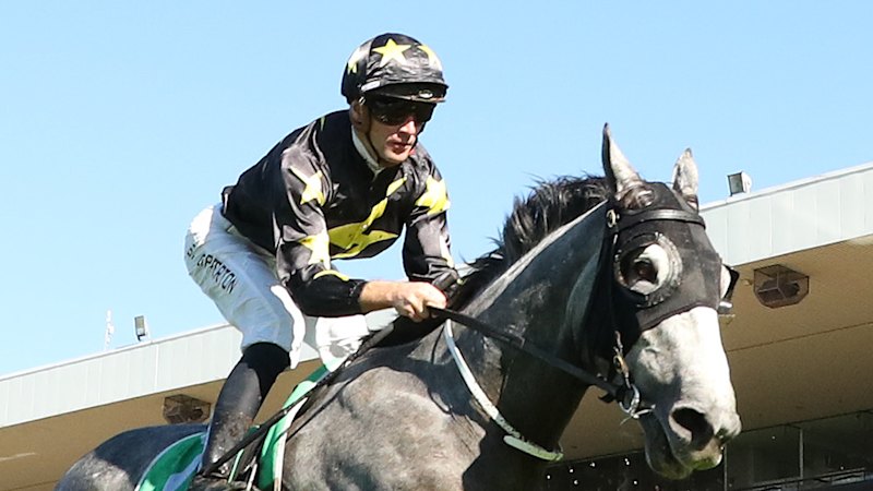 Race-by-race preview and tips for Randwick on Saturday