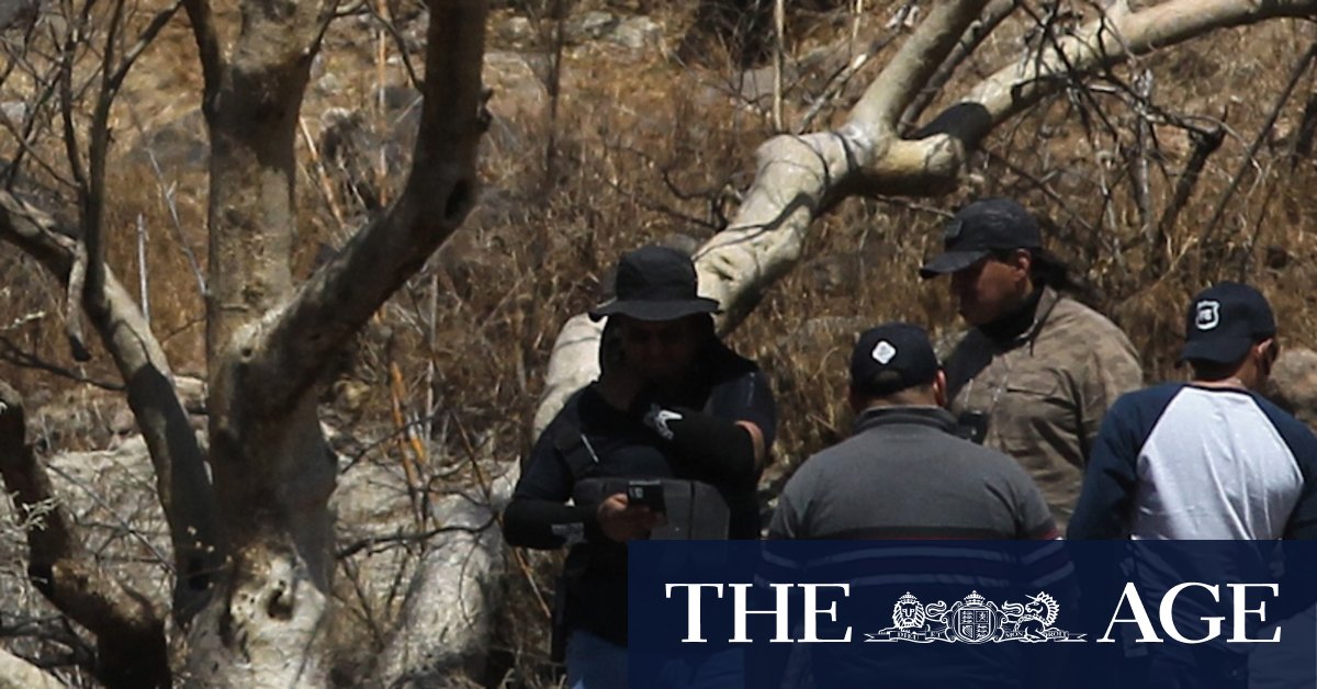 Mexican drug cartel deaths: Bodies of eight call centre workers found in bags after they tried to quit their job - Vimarsana News