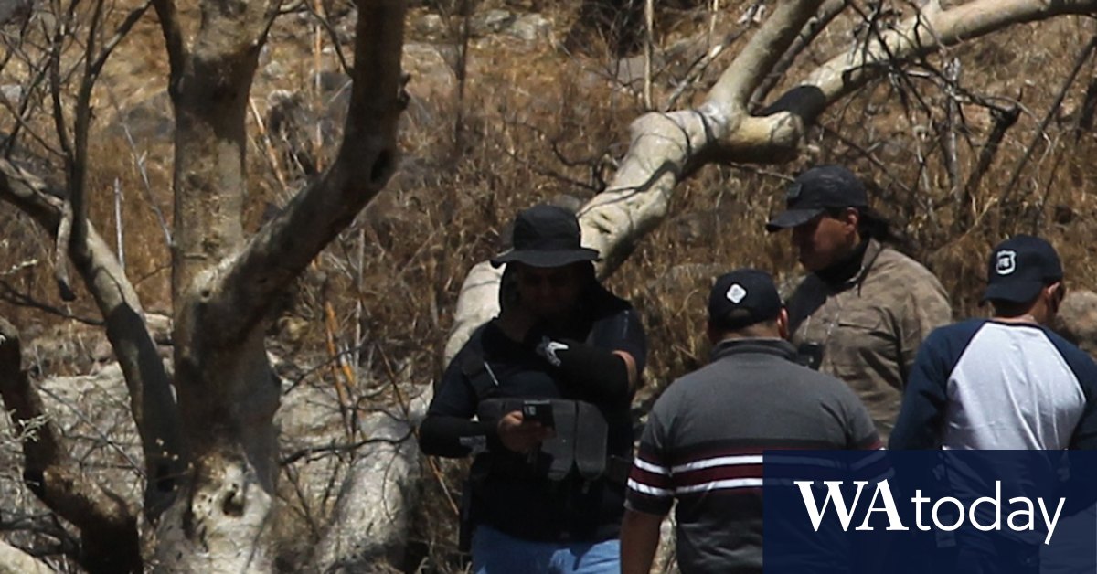 Mexican drug cartel deaths: Bodies of eight call centre workers found in bags after they tried to quit their job - Vimarsana News