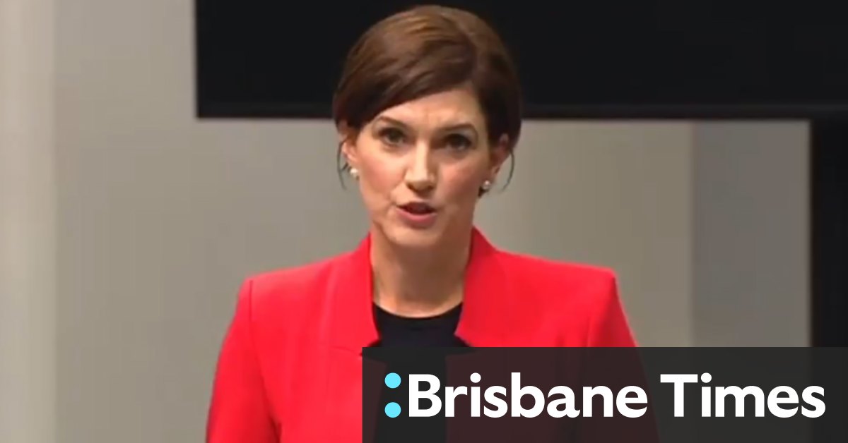 Anthony Albanese concedes Nicolle Flint was treated poorly by Labor