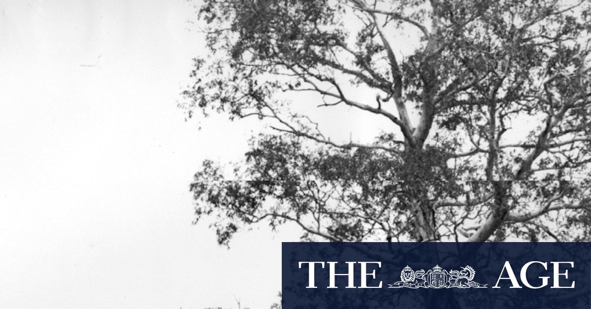 From the Archives, 1996: Rural spirit revives a historic Victorian ghost town - Vimarsana News