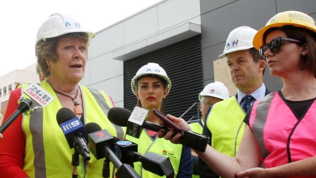 Health Minister Jillian Skinner said planning was already underway to determine the scope and size of the project at Nepean Hospital.