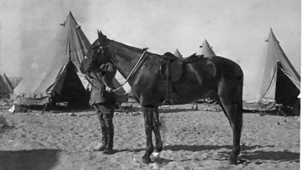 Major General Sir William Throsby Bridges holding the bridle of his favourite charger, Sandy. 

