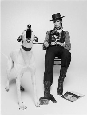 The Diamond Dogs shoot by Terry O'Neill.